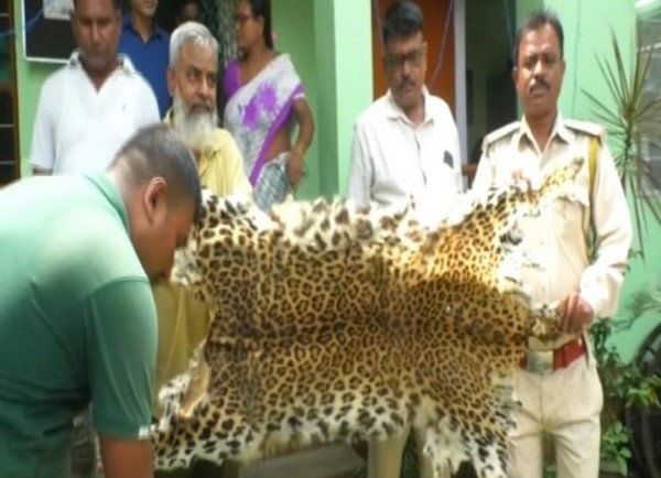 forest-officials-recover-body-parts-of-leopards-other-animals-in-assams-nagaon