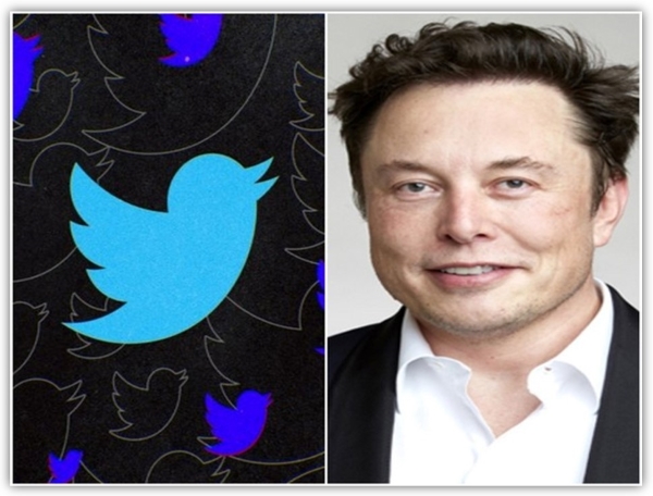 twitter-shares-dip-20-pc-after-musk-puts-44-billion-takeover-on-hold