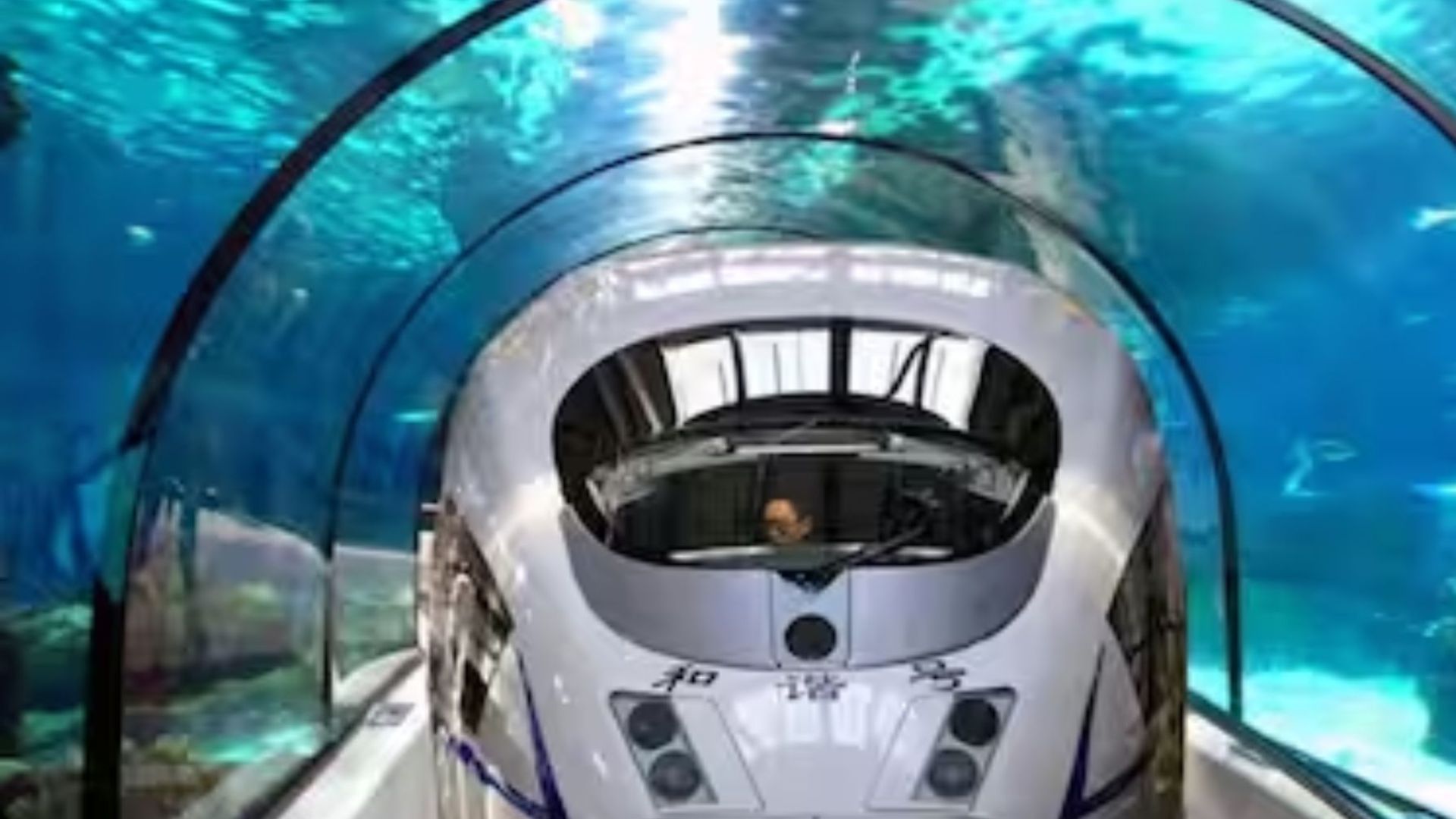 indias-first-underwater-metro-service-in-kolkata-opens-for-public