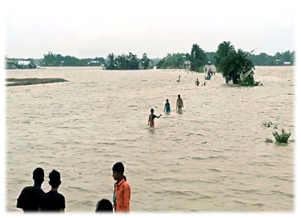 Assam flood: Death toll rises to 24, nearly 7.19 lakh people affected