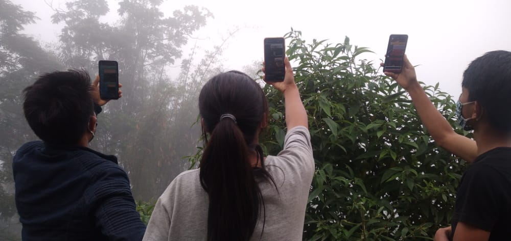 HORNBILL TV
