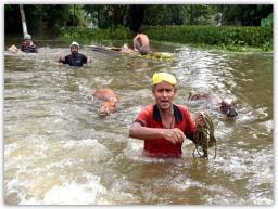 Flood, landslides claim 71 lives so far in Assam, 33 districts affected