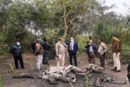 Assam: Commando Force to be deployed at Kaziranga National Park to intensify anti-poaching operations