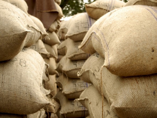up-governments-procurement-of-wheat-crosses-1-lakh-tonne-in-april-first-week