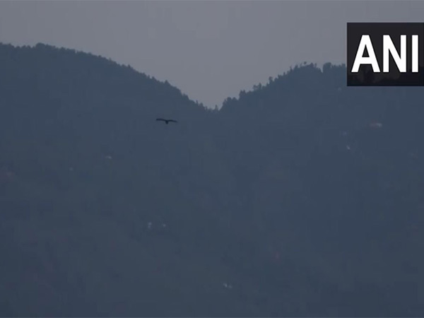 Situation normal at Jammu, Poonch; no shelling reported overnight