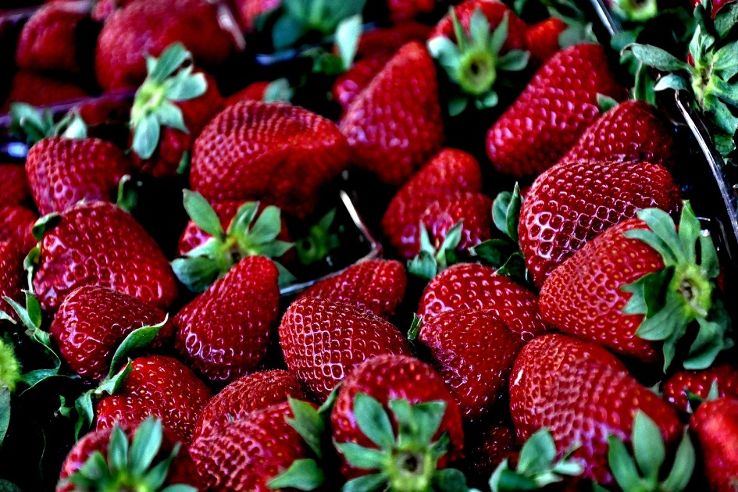 meghalayas-strawberry-festival-commences-  