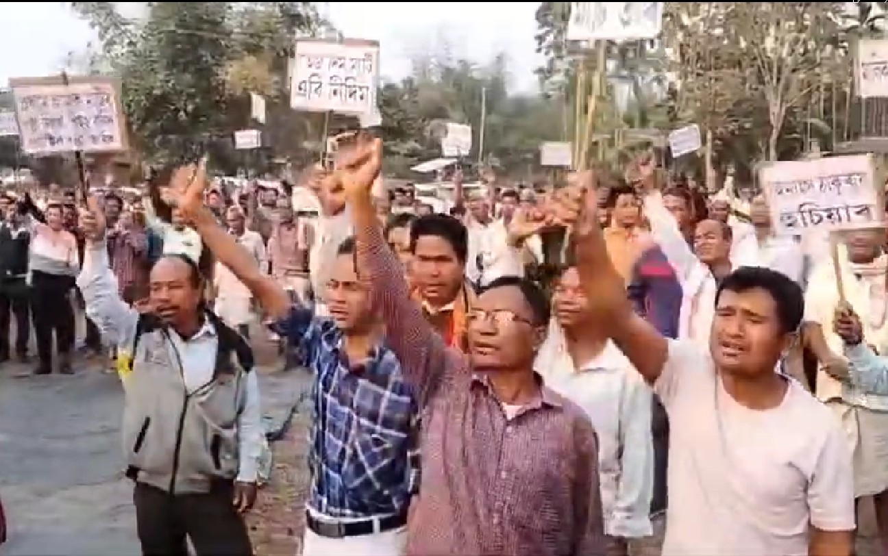 HORNBILL TV