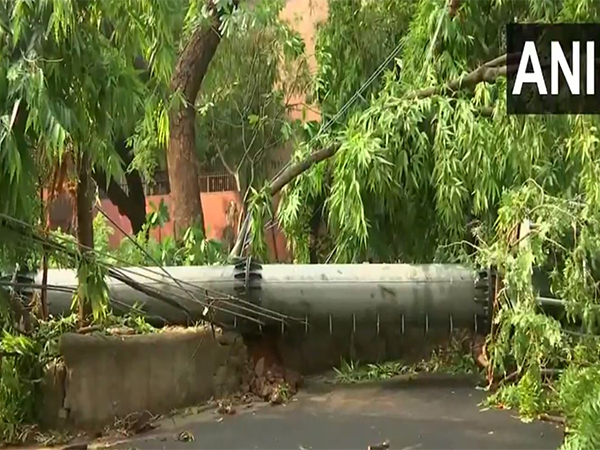 Mobile tower collapses in Safdarjung Enclave after overnight downpour in Delhi