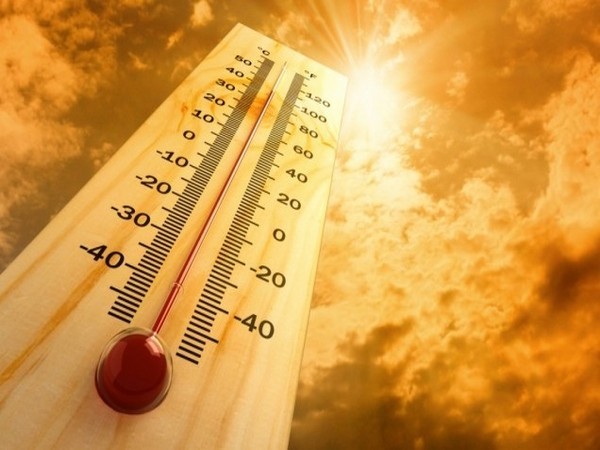 Heatwave alert: Scorching heat arrives before time in Punjab, Haryana and Chandigarh