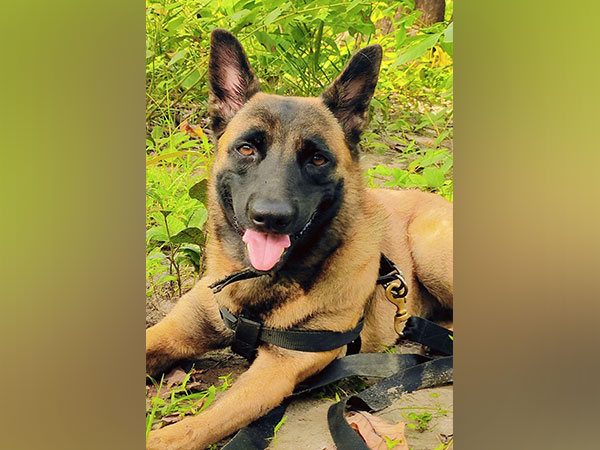 CRPF conducts last rites of K9 Rolo, sniffer dog killed in anti-Naxal operation