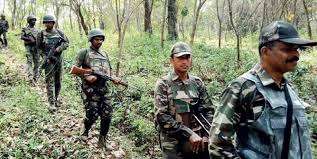 29 Maoists, including more than a dozen women, killed in massive Chhattisgarh encounter 