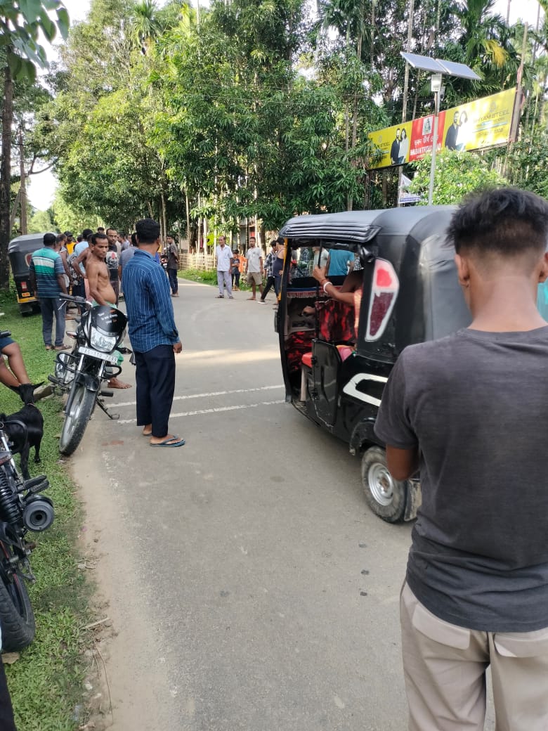HORNBILL TV