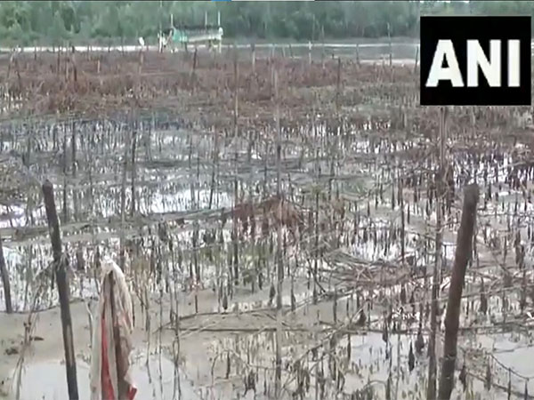 ramganga-river’s-rising-water-level-triggers-flood-like-situation-destroys-crops-in-uttar-pradesh’s-moradabad