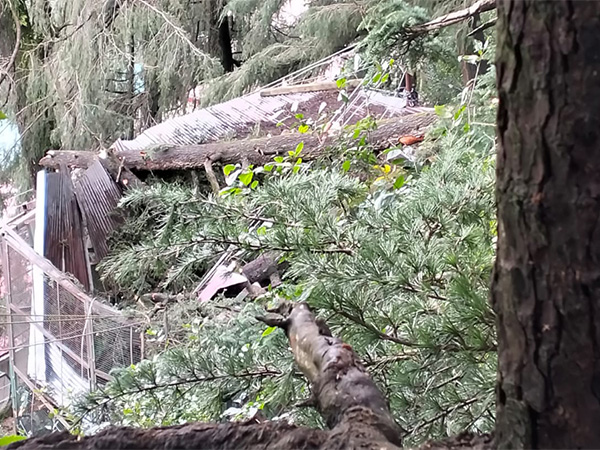 shimla-landslide-forces-evacuation-in-benmore-locality-30-families-at-risk