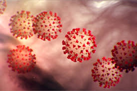 rising-cases-of-covid-19-belong-to-sub-lineage-of-omicron-virus