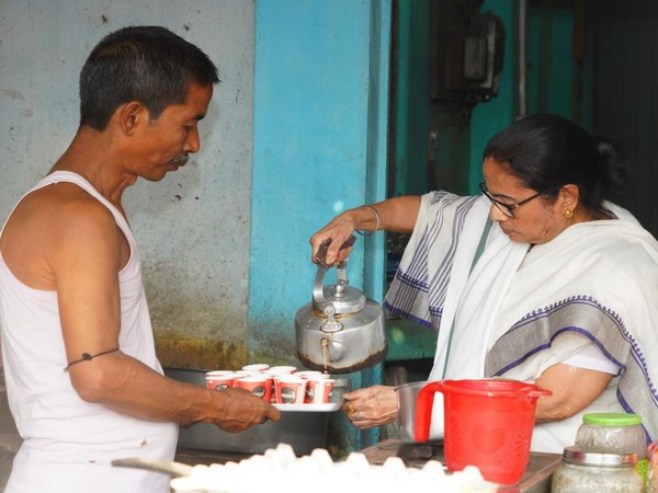 west-bengal-chief-minister-banerjee-serves-tea-at-local-stall-plucks-tea-leaves-at-farm