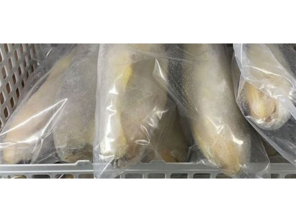 40 per cent of China-imported fish containing banned drug retrieved in Taiwan; tighter border checks imposed