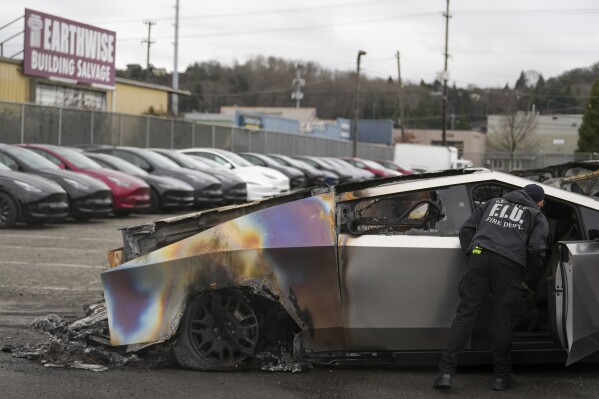 protesters-target-277-tesla-locations-in-us-over-elon-musks-government-role-demand-resignation