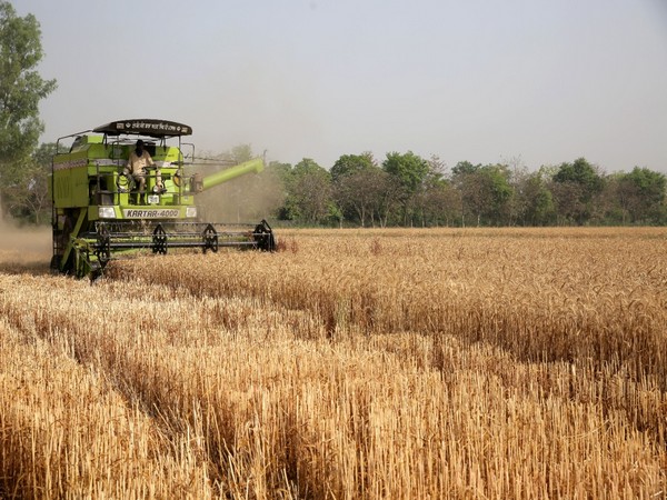 haryana-government-approves-inr-126749-crore-annual-agriculture-plan