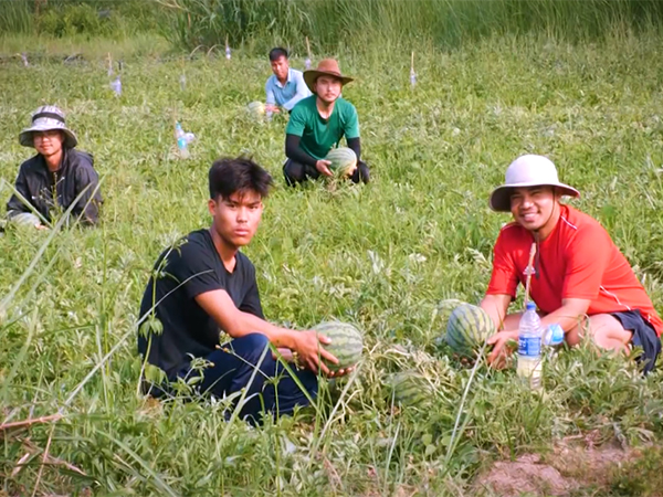 manipurs-youth-lead-organic-farming-initiative