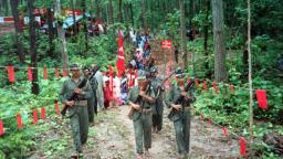 Most districts in Chhattisgarh seeing drop in Naxal activity: IG Bastar