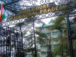 Himachal forest encroachment drive: Apple trees felled on HC orders in Kotkhai vill..