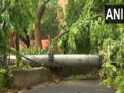 Mobile tower collapses in Safdarjung Enclave after overnight downpour in Delhi