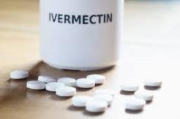 Mosquito-killing pill, Ivermectin drops malaria by 26%: Study