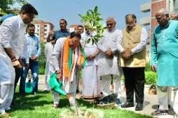 Chhattisgarh: JP Nadda plants sapling at 