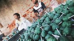 Ensure ban on firecrackers or face contempt, SC to NCR states