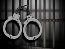 Chhattisgarh police books 21 individuals for assaulting three people on suspicion o..