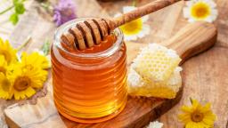 Haryana: CM Saini announces inclusion of honey under 