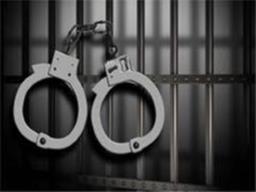 Man uses minor niece, fake thumb in INR 5 crore extortion plot; Delhi Police appreh ..