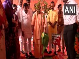 UP CM Adityanath plants sapling under 