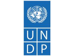 Human development progress slows to 35-year low: UNDP