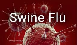 Swine flu claims one in Cachar district; death toll at two