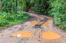 NPP calls out NHIDCL for deplorable Kohima-Jessami road